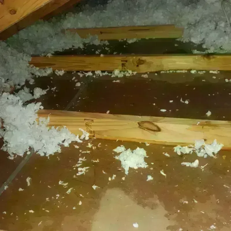 Attic Water Damage in Frackville, PA