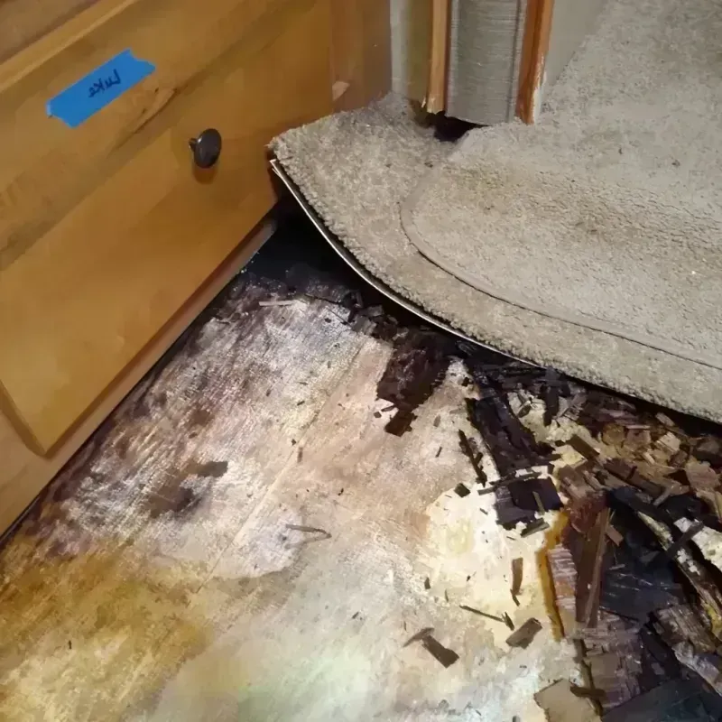 Wood Floor Water Damage in Frackville, PA